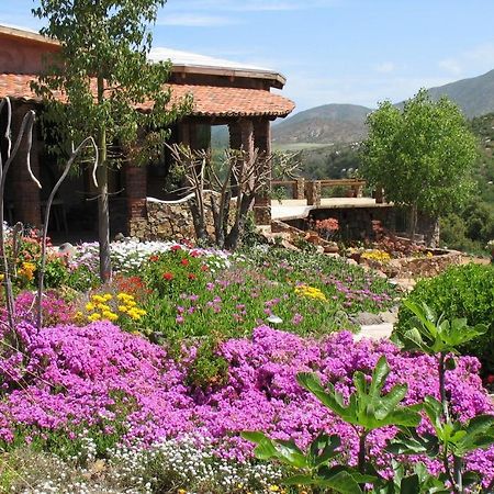 Quinta Maria En La Ruta Del Vino Bed and Breakfast Valle de Guadalupe Exteriör bild