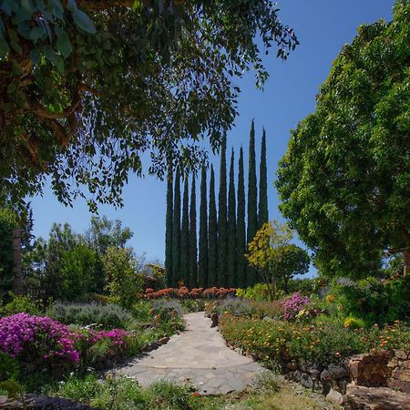 Quinta Maria En La Ruta Del Vino Bed and Breakfast Valle de Guadalupe Exteriör bild
