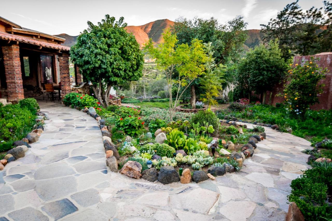 Quinta Maria En La Ruta Del Vino Bed and Breakfast Valle de Guadalupe Exteriör bild