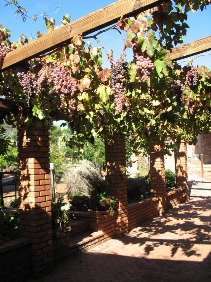 Quinta Maria En La Ruta Del Vino Bed and Breakfast Valle de Guadalupe Exteriör bild