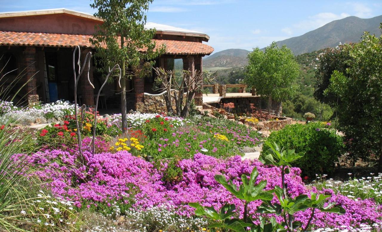 Quinta Maria En La Ruta Del Vino Bed and Breakfast Valle de Guadalupe Exteriör bild