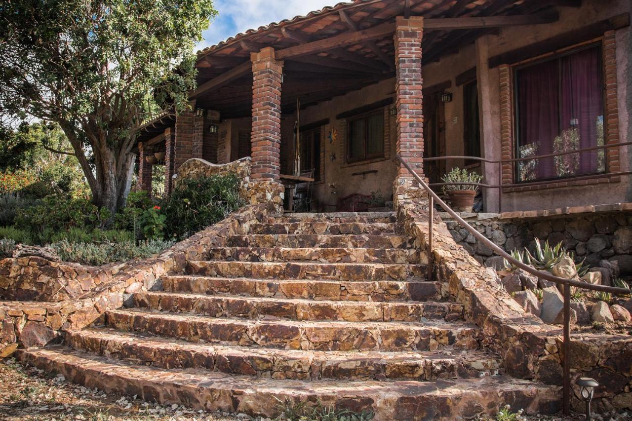 Quinta Maria En La Ruta Del Vino Bed and Breakfast Valle de Guadalupe Exteriör bild